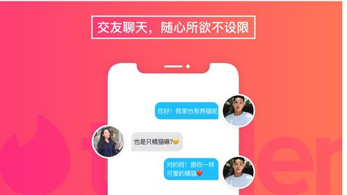 靠谱的交友APP有哪些？（交友工具有哪些）-图3