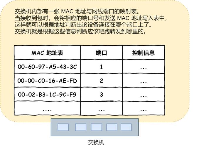 mac地址表有几个属性？（mac表包含哪些信息）