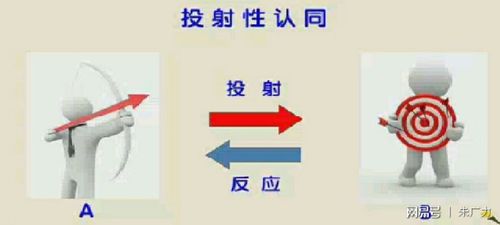 投射式和反射式区别？（投射技术哪些方面）