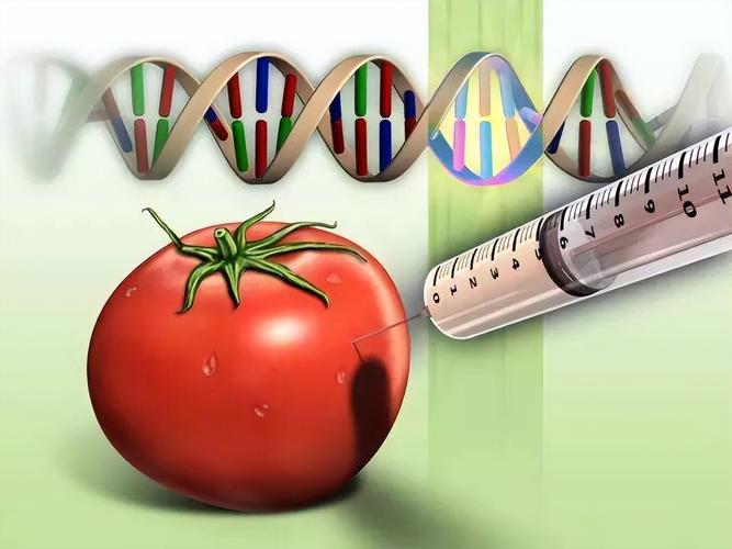 转基因真的有危险吗？（转基因有哪些风险）-图2