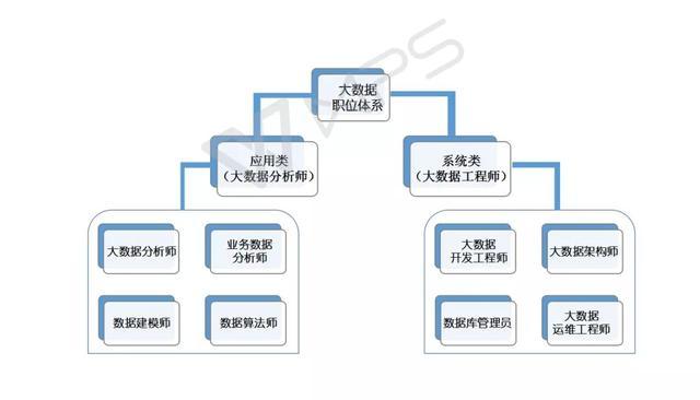 大数据岗位分类？（大数据有哪些岗位）-图1