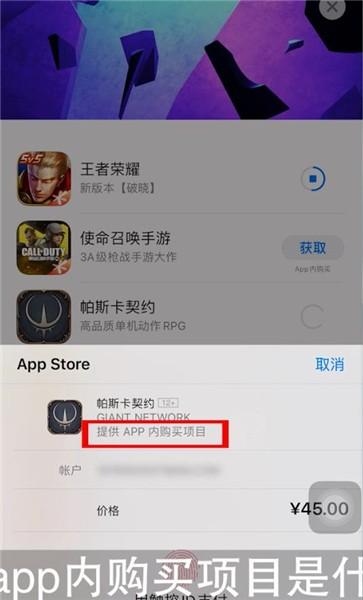 iphone里有哪些付费软件？（苹果app可以买哪些）