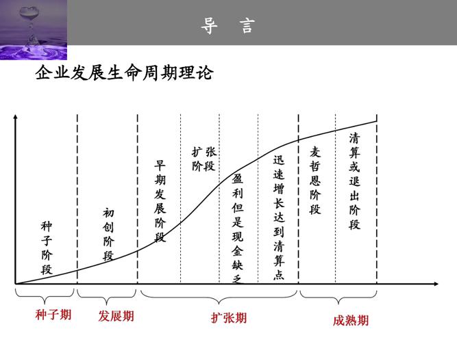 创业企业在成熟阶段所采用的融资方式主要是？（融资回报方式有哪些）-图2