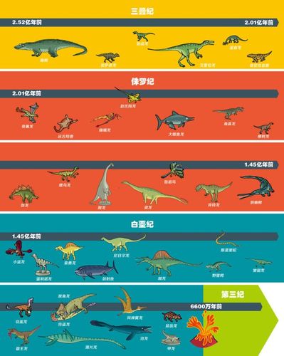 中生代的三个时期分别生存哪些恐龙？（哪些动物是恐龙进化的）-图2