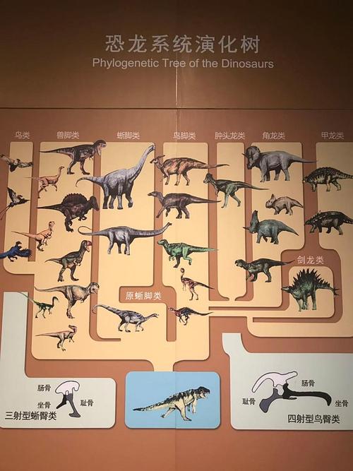 中生代的三个时期分别生存哪些恐龙？（哪些动物是恐龙进化的）-图3